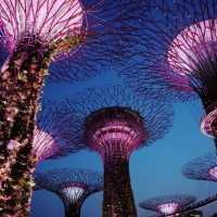 gardens by the bay singapore