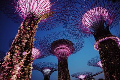 gardens by the bay singapore