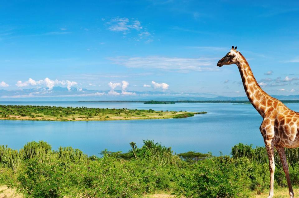 Nigeria Highlighted as a Target For Market Uganda Tourism