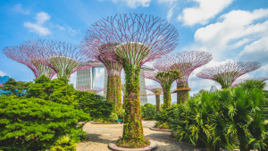 Gardens by the Bay Singapore: 14 Amazing Things to Do and See