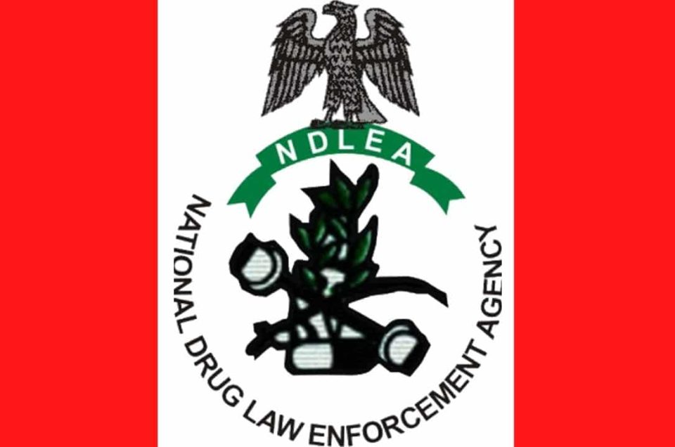 BREAKING: Married Women No Longer Need Husband’s Approval for NDLEA Visa Clearance