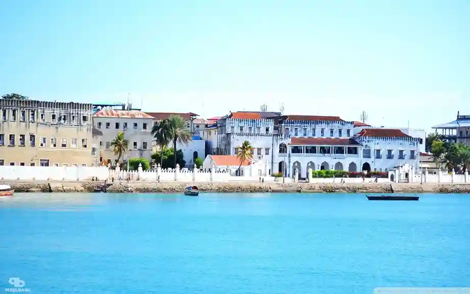 Express Tanzania visa