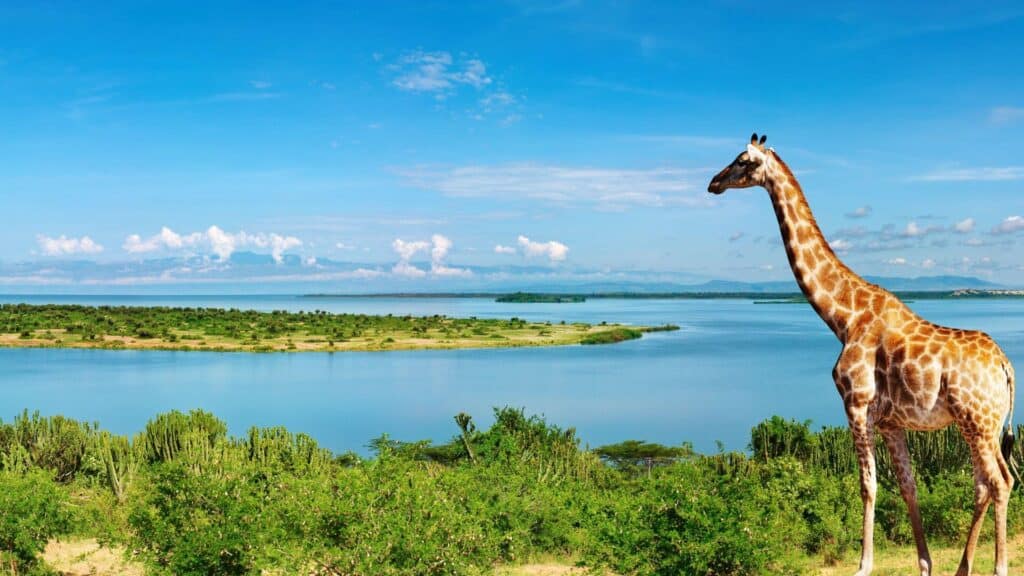 Uganda Highlights Nigeria as a Market Ugandan Tourism