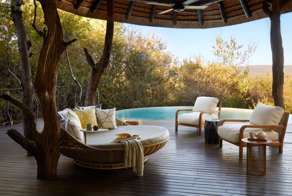 new safari camp molori safari zimbabwe