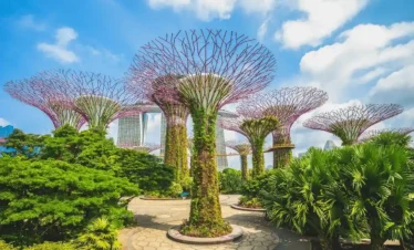 Christmas in Singapore
