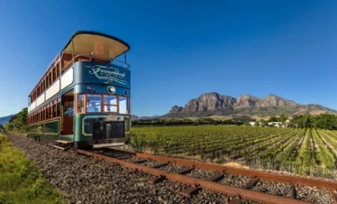 Christmas in Cape Town
